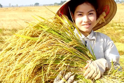 Tổng dư nợ cho vay của Agribank tăng 36.576 tỷ đồng