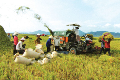 Dư nợ cho vay nông nghiệp, nông thôn của Agribank tăng 1,2% trong quý I/2013