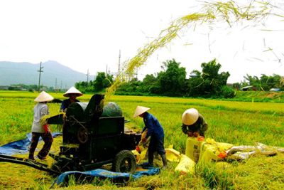 Phát huy hiệu quả các nguồn lực của doanh nghiệp trong xây dựng nông thôn mới Phát huy hiệu quả các nguồn lực của doanh nghiệp trong xây dựng nông thôn mới