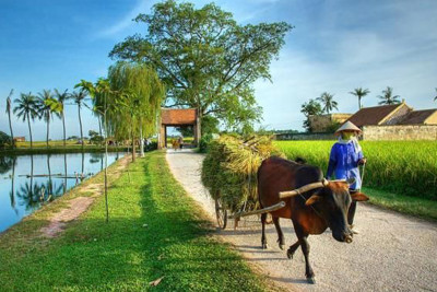 Thu hút vốn đầu tư nước ngoài vào nông nghiệp Thu hút vốn đầu tư nước ngoài vào nông nghiệp