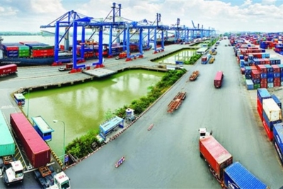 Phát huy thành tựu đóng góp nhiều hơn nữa vào sự phát triển đất nước