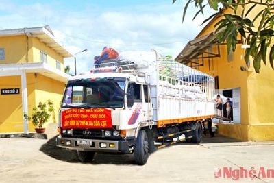 Phạt 5-10 triệu đồng nếu chiếm dụng, làm thất thoát tiền và hàng cứu trợ
