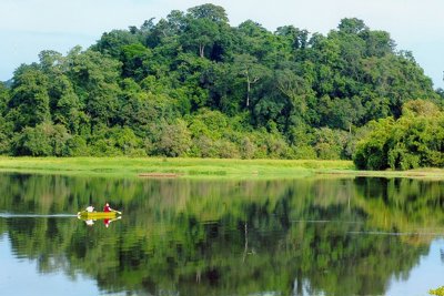 Chuyển mục đích sử dụng rừng đặc dụng Vườn quốc gia Cát Tiên