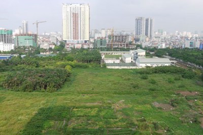 Cho phép Hà Nội chuyển 61,8 ha đất trồng lúa sang đất phi nông nghiệp 
