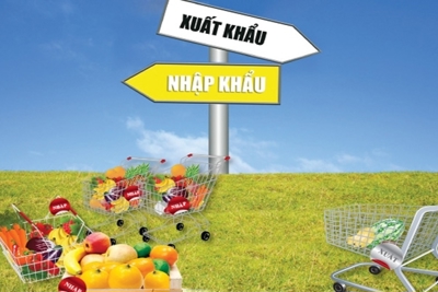 6 tháng đầu năm, chỉ số giá xuất khẩu, nhập khẩu hàng hoá lần lượt tăng 0,71% và 1,08% 