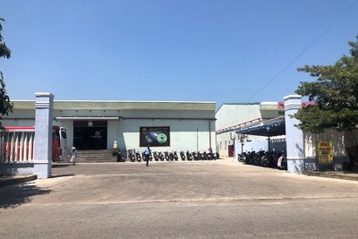 Bị phạt 450 triệu đồng vì chỉ niêm yết giá bằng USD khi phục vụ khách du lịch nước ngoài