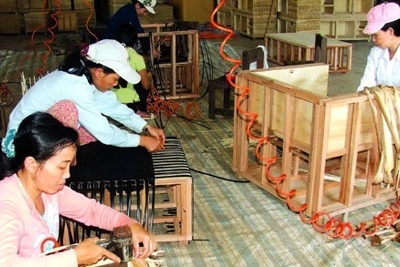 Sẽ “chỉnh” doanh nghiệp đội lốt hợp tác xã
