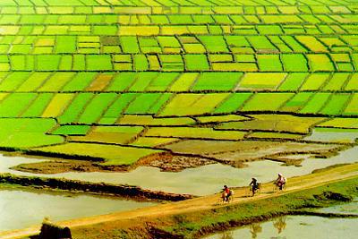 Quốc hội thảo luận Luật Đất đai sửa đổi
