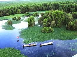 Thuế Hậu Giang: Hoàn thành vượt chỉ tiêu thu ngân sách 2013