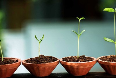 Kinh tế Việt Nam: Những bước tiến vượt bậc