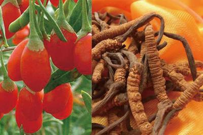 Doanh nghiệp Trung Quốc mở hội chợ tại Hà Nội
