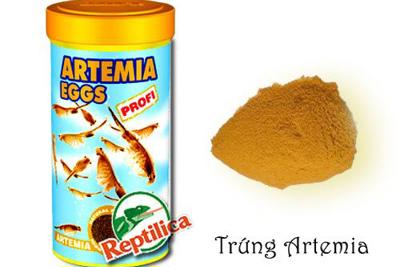 Sẽ truy thu thuế doanh nghiệp khai mã số chưa đúng về trứng Artemia Sẽ truy thu thuế doanh nghiệp khai mã số chưa đúng về trứng Artemia