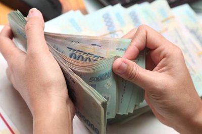 Ảnh hưởng của tài chính vi mô tới thu nhập của hộ nghèo ở các huyện miền núi tỉnh Thanh Hóa