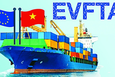 Những nội dung chính trong Hiệp định EVFTA