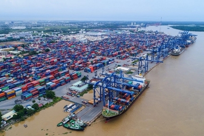  TP. Hồ Chí Minh triển khai vận hành thử nghiệm thu phí cảng biển 