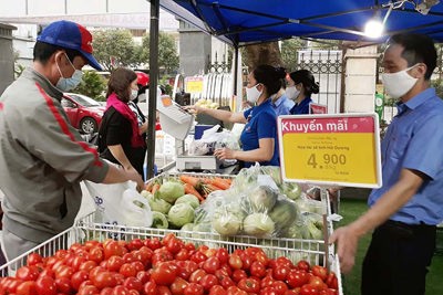  Hà Nội đẩy mạnh hỗ trợ tiêu thụ nông sản an toàn 
