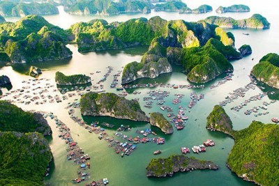  Ngành du lịch Việt Nam và cú sốc lớn đầu năm 2020 vì đại dịch Covid-19 
