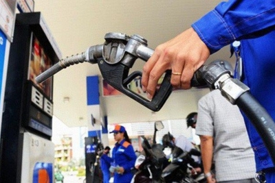 Giảm thuế bảo vệ môi trường sẽ giảm tương ứng giá bán xăng, dầu