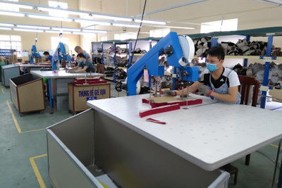 Áp dụng cải tiến năng suất, chất lượng tổng thể, May Nam Hà tăng trưởng 17% doanh thu