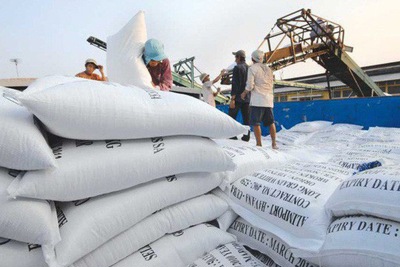  Xuất khẩu gạo sang Philippines thêm nhiều quy định mới 