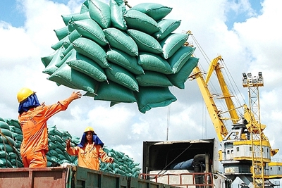 Tiếp tục đăng ký tờ khai xuất khẩu gạo từ 0 giờ ngày 28/4/2020 với hạn ngạch được hồi lại