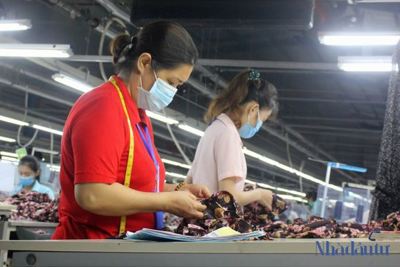  Kinh tế phục hồi, doanh nghiệp tại Đà Nẵng "tăng tốc" sản xuất 