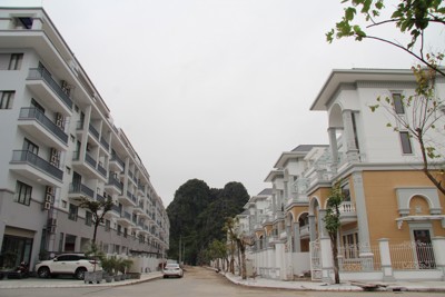Sức nóng bất động sản Quảng Ninh đang dẫn đầu các tỉnh phía Bắc