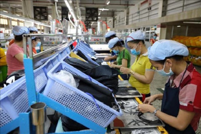 Kiên Giang ban hành Kế hoạch hỗ trợ doanh nghiệp nâng cao năng suất và chất lượng