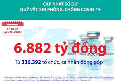 Quỹ Vắc xin phòng, chống Covid-19 đã tiếp nhận ủng hộ 6.882 tỷ đồng