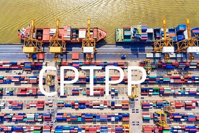 519 dòng thuế xuất khẩu, 10.647 dòng thuế nhập khẩu ưu đãi đặc biệt thực hiện CPTPP