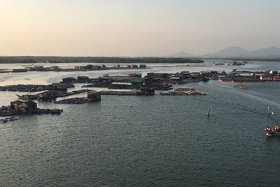  Bà Rịa – Vũng Tàu trình Thủ tướng chấp thuận chủ trương dự án Khu đô thị biển quy mô hơn 1.500 ha 