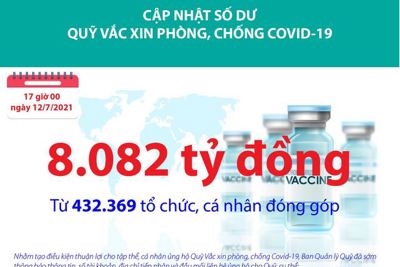 [Infographics] Quỹ Vắc xin phòng, chống Covid-19 đã tiếp nhận ủng hộ 8.082 tỷ đồng