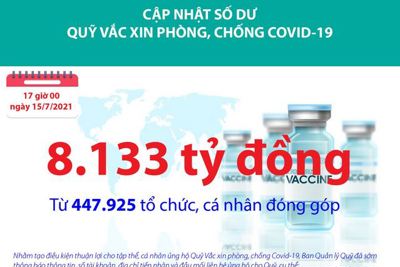 [Infographics] Quỹ Vắc xin phòng, chống Covid-19 đã tiếp nhận ủng hộ 8.133 tỷ đồng