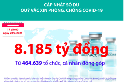 [Infographics] Quỹ Vắc xin phòng, chống Covid-19 đã tiếp nhận ủng hộ 8.185 tỷ đồng