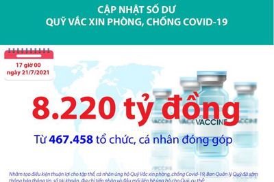 [Infographics] Quỹ Vắc xin phòng, chống Covid-19 đã tiếp nhận ủng hộ 8.220 tỷ đồng