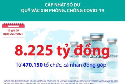 [Infographics] Quỹ Vắc xin phòng, chống Covid-19 đã tiếp nhận ủng hộ 8.225 tỷ đồng