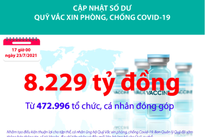 [Infographics] Quỹ Vắc xin phòng, chống Covid-19 đã tiếp nhận ủng hộ 8.229 tỷ đồng