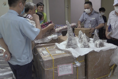 Hải quan bắt giữ hơn 125 kg sừng tê giác nhập lậu qua đường hàng không