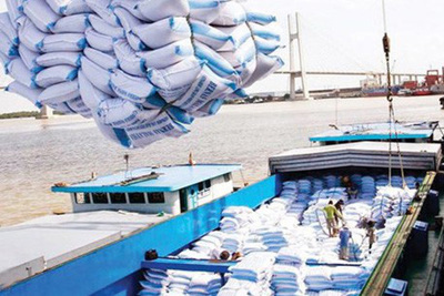 Xuất khẩu gạo kỳ vọng bứt phá vào cuối năm