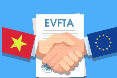Những kết quả bước đầu từ Hiệp định EVFTA