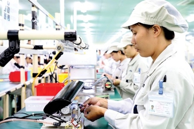 Doanh nghiệp FDI ở Việt Nam và chuỗi giá trị toàn cầu