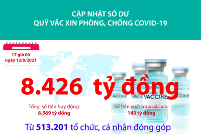 [Infographics] Quỹ Vắc xin phòng, chống COVID-19 còn dư 8.426 tỷ đồng