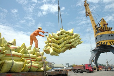 Thêm 42 doanh nghiệp được cấp phép xuất khẩu gạo