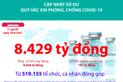 [Infographics] Quỹ Vắc xin phòng, chống COVID-19 còn dư 8.429 tỷ đồng
