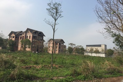 Hà Nội “lệnh” kiên quyết thu hồi dự án bỏ hoang