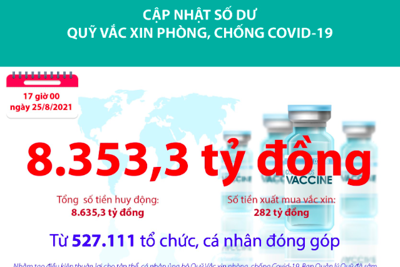 [Infographics] Quỹ Vắc xin phòng, chống COVID-19 còn dư 8.353,3 tỷ đồng
