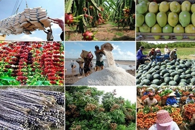 Ngành Nông nghiệp đã có 7 sản phẩm đạt giá trị xuất khẩu trên 2 tỷ USD