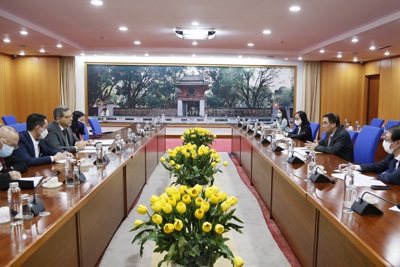 Thứ trưởng Bộ Tài chính Trần Xuân Hà làm việc với Giám đốc quốc gia IFAD tại Việt Nam