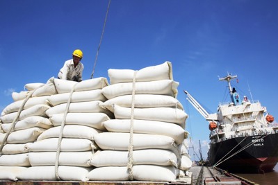 Xuất khẩu gạo năm 2022 sẽ chạm ngưỡng 7 triệu tấn, lập lại kỳ tích năm 2012?