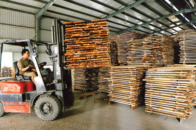 Xuất khẩu gỗ: Cơ hội và thách thức đan xen